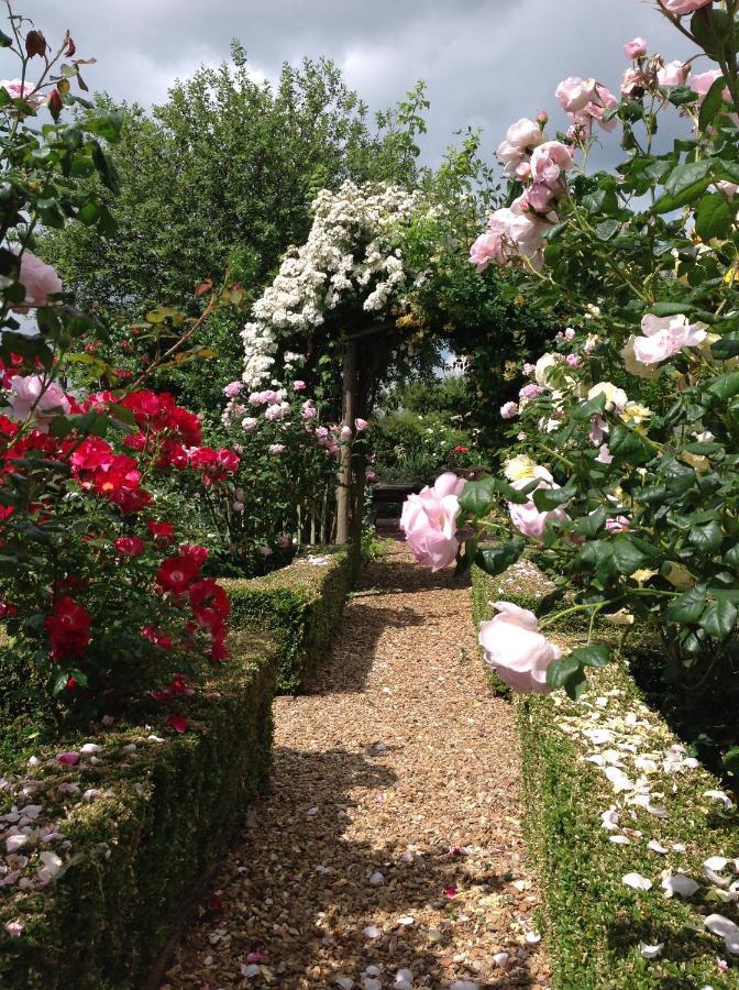 Orchard Cottage, Clematis Cottages, Stamford. Accessible Luxury Home. מראה חיצוני תמונה