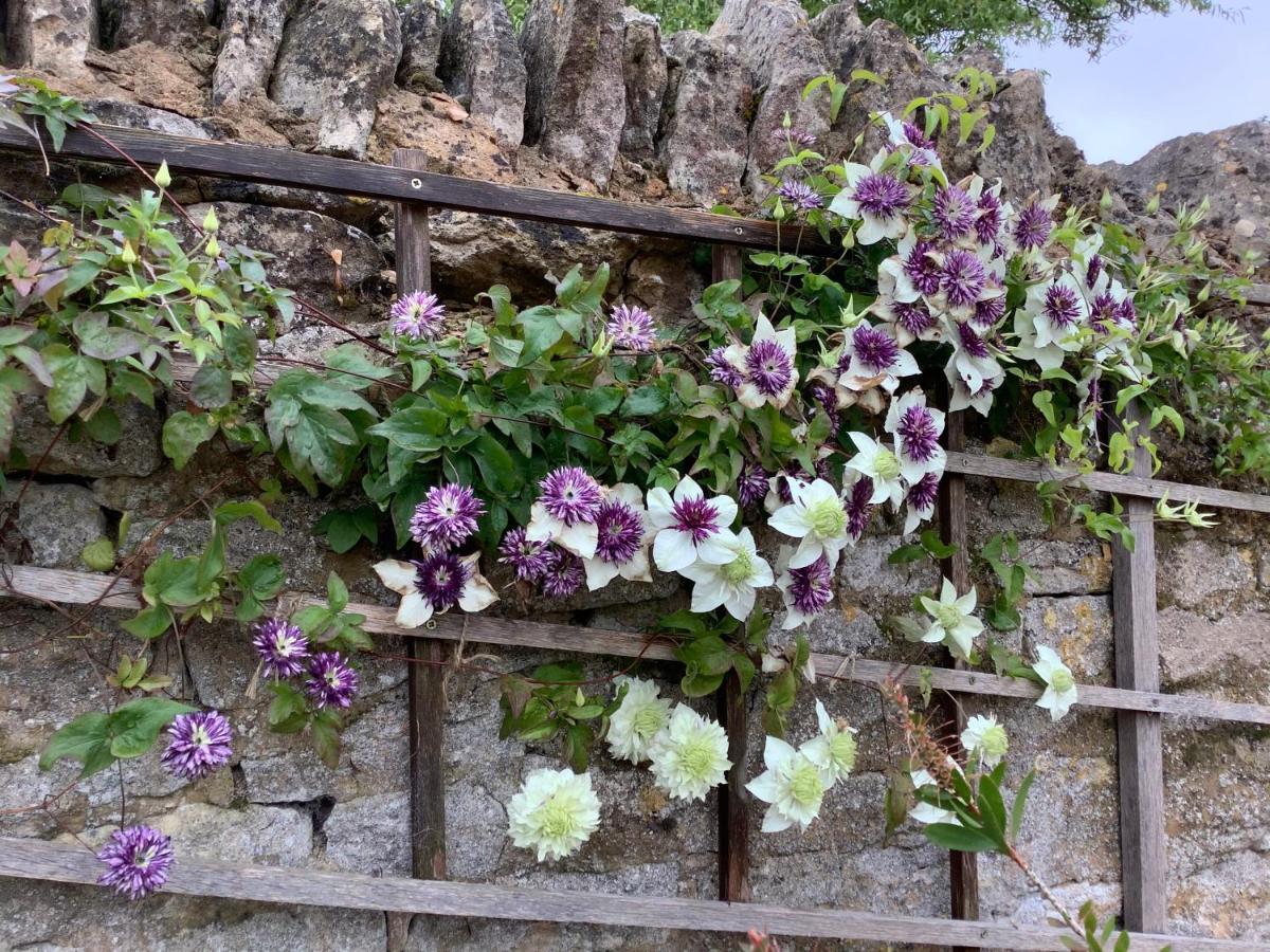 Orchard Cottage, Clematis Cottages, Stamford. Accessible Luxury Home. מראה חיצוני תמונה