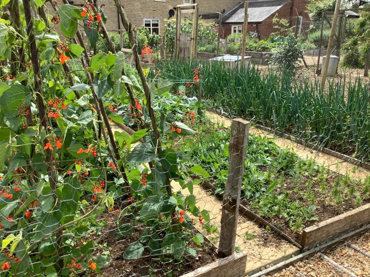 Orchard Cottage, Clematis Cottages, Stamford. Accessible Luxury Home. מראה חיצוני תמונה