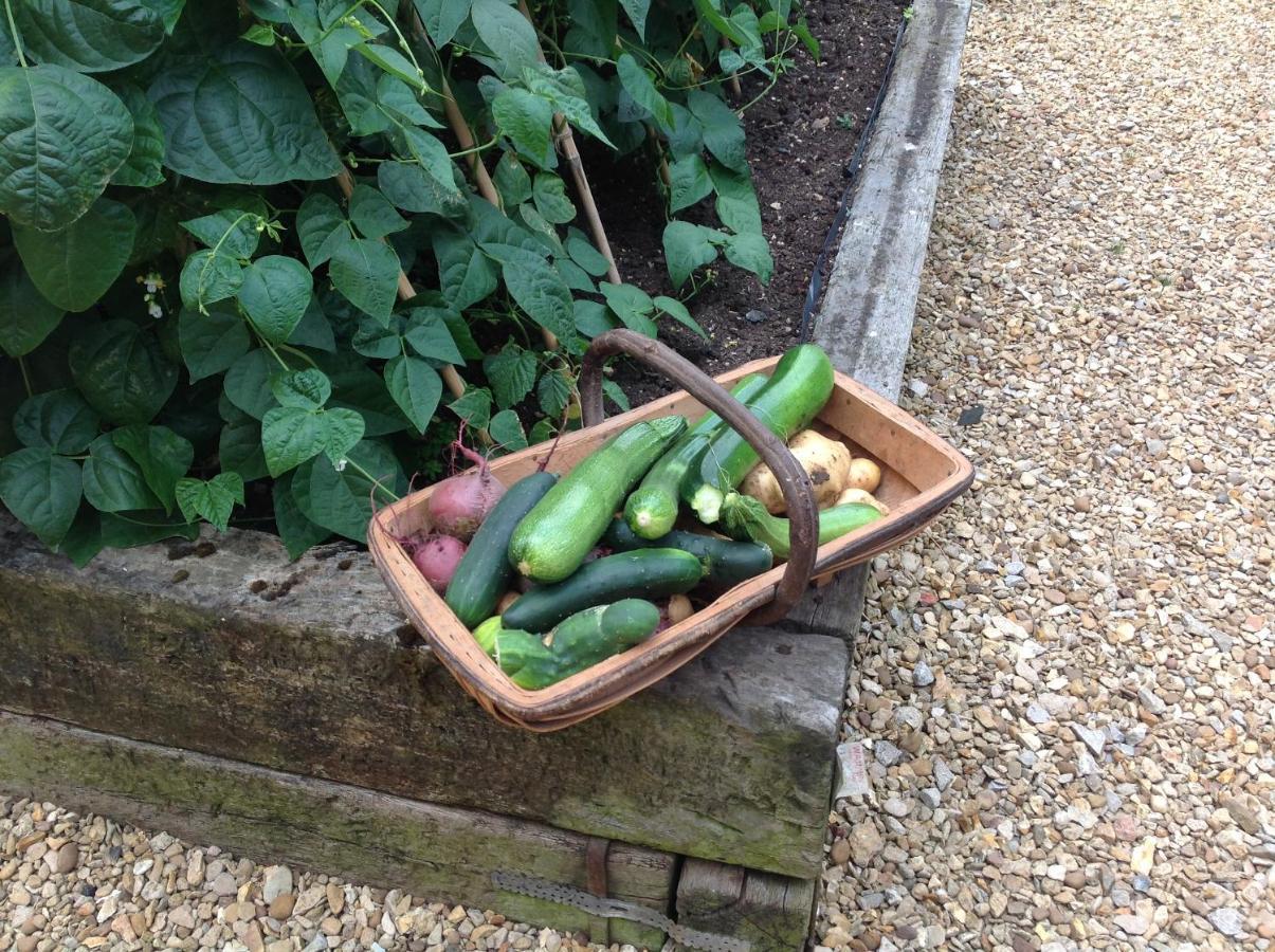 Orchard Cottage, Clematis Cottages, Stamford. Accessible Luxury Home. מראה חיצוני תמונה