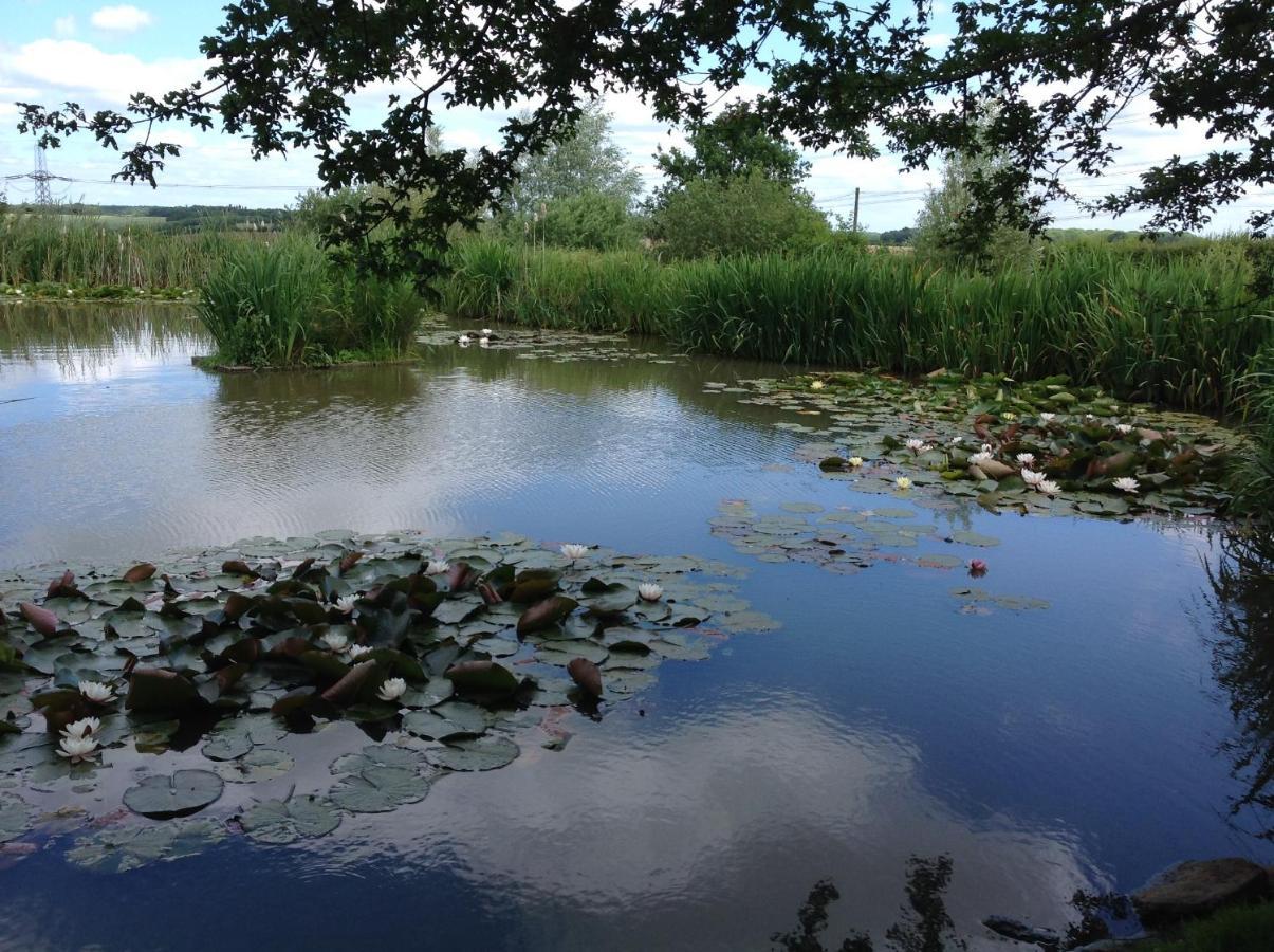 Orchard Cottage, Clematis Cottages, Stamford. Accessible Luxury Home. מראה חיצוני תמונה
