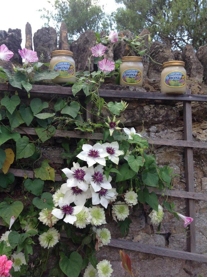 Orchard Cottage, Clematis Cottages, Stamford. Accessible Luxury Home. מראה חיצוני תמונה