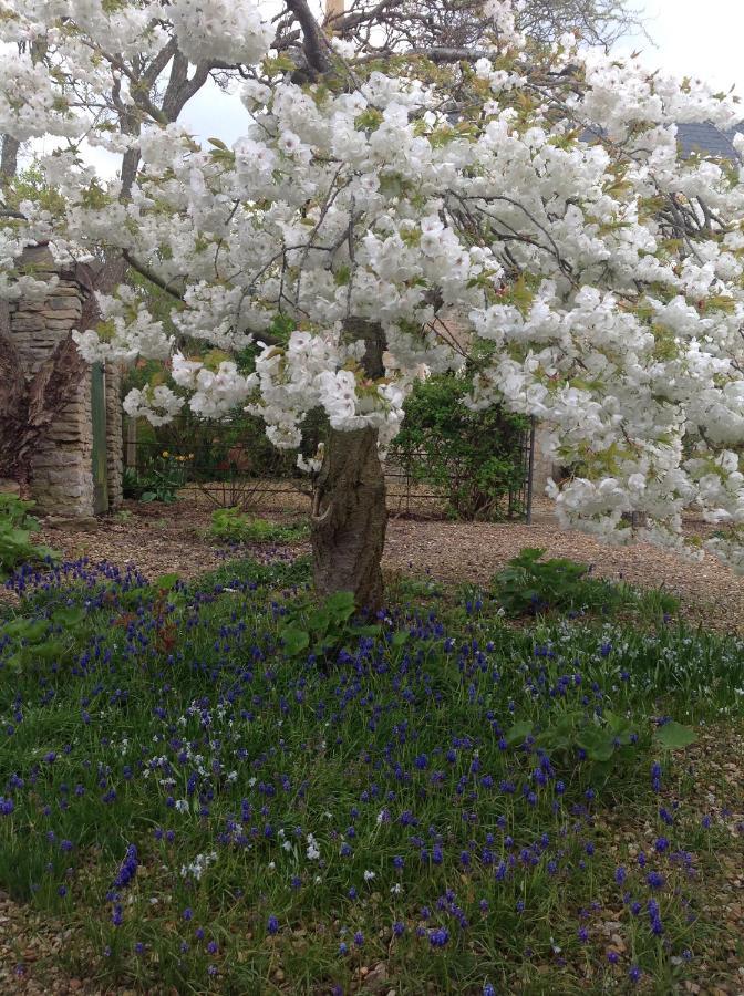 Orchard Cottage, Clematis Cottages, Stamford. Accessible Luxury Home. מראה חיצוני תמונה