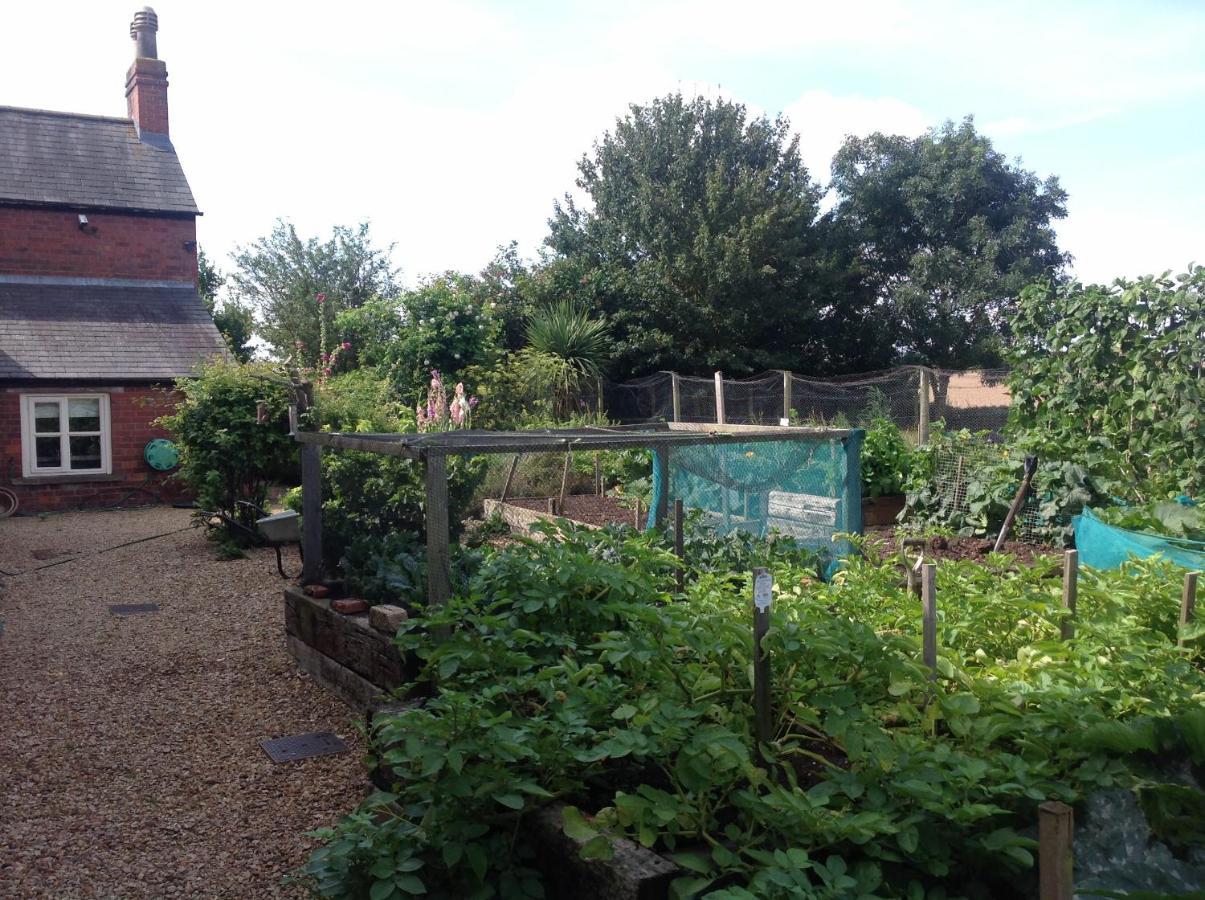 Orchard Cottage, Clematis Cottages, Stamford. Accessible Luxury Home. מראה חיצוני תמונה